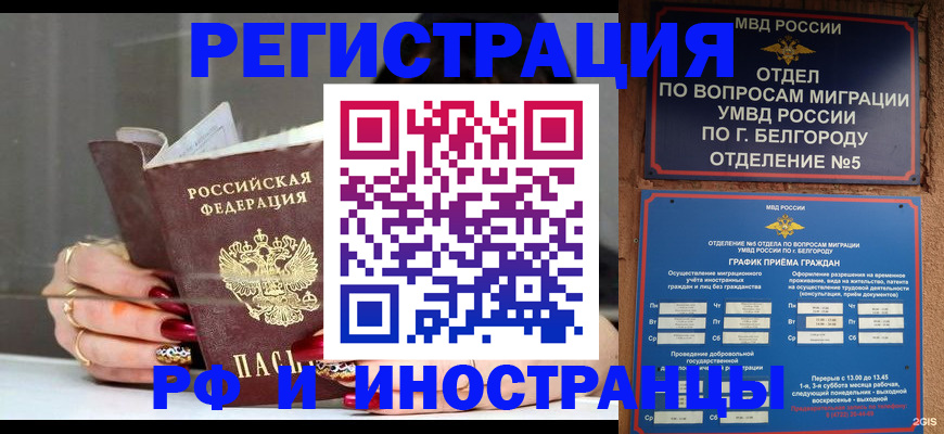 прописка в Ленинградской области